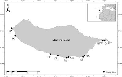 Disease Outbreak in a Keystone Grazer Population Brings Hope to the Recovery of Macroalgal Forests in a Barren Dominated Island